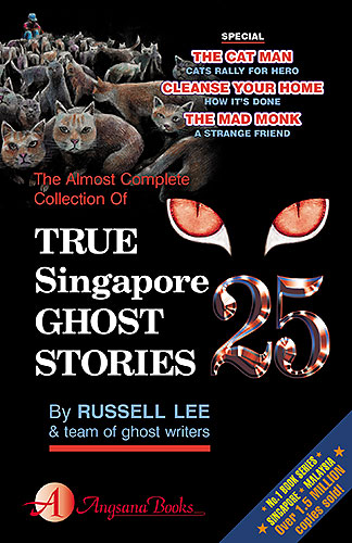 TRUE SINGAPORE GHOST STORIES 25